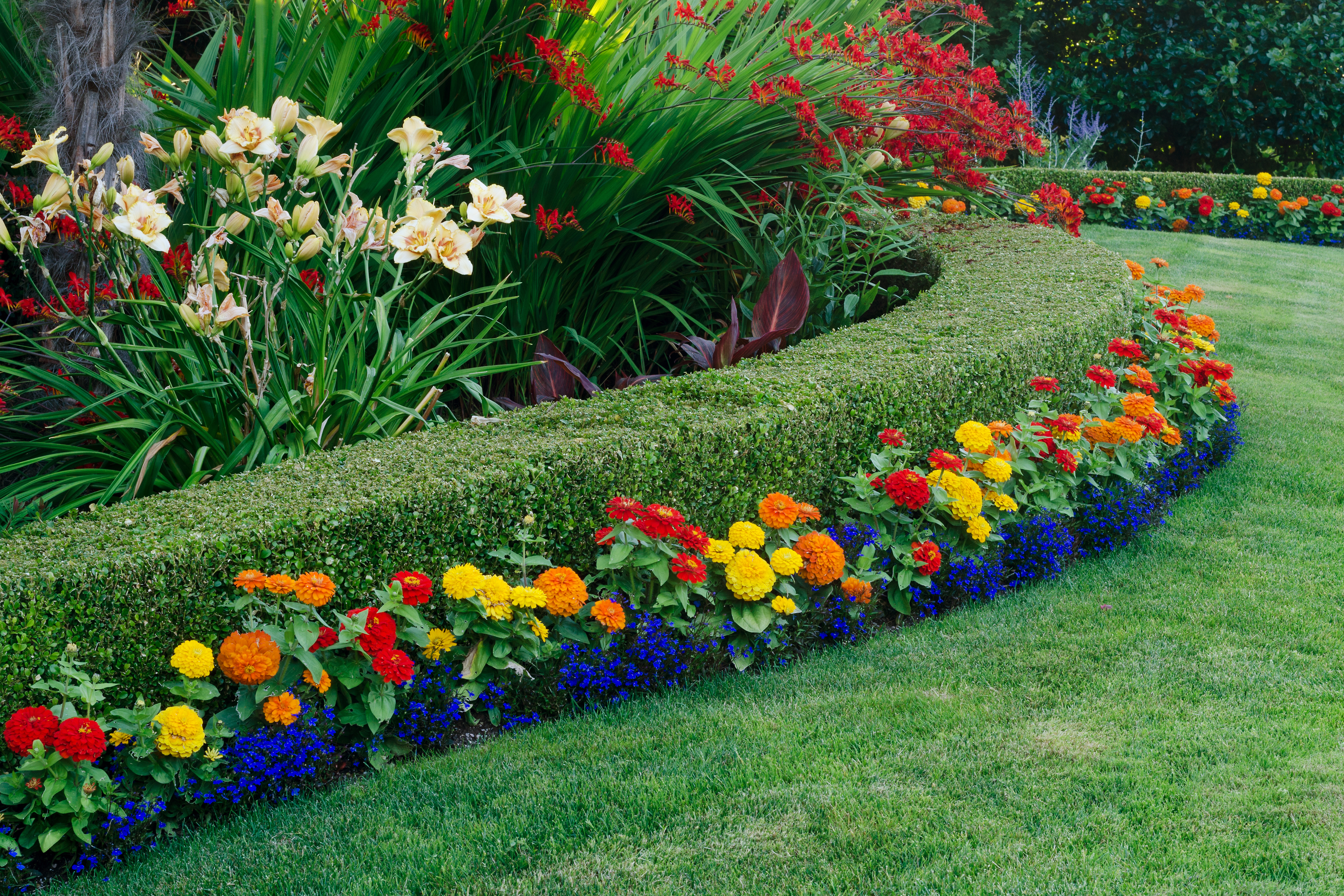 himmelen-Haie fleurie : pour un bel extérieur de jardin